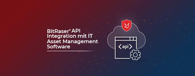 API-Symbol mit Text über die API-Integration mit Bitraser, einer IT Asset Management Software